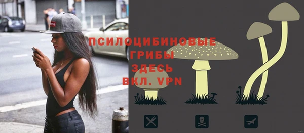 соль ск Алексеевка