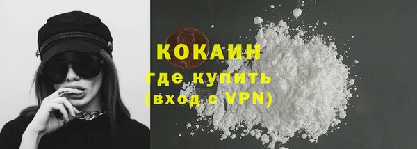ешки Новодвинск