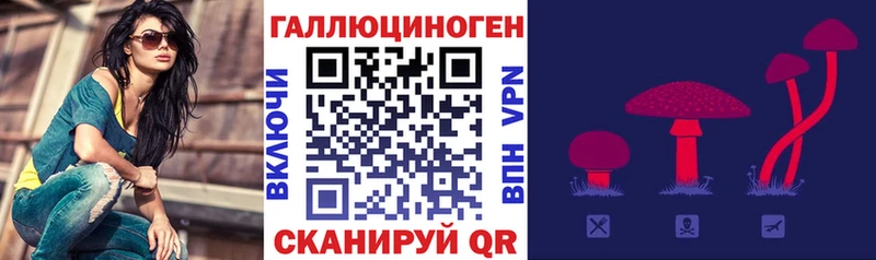 blacksprut ссылка магазин Североуральск Галлюциногенные грибы Psilocybine cubensis